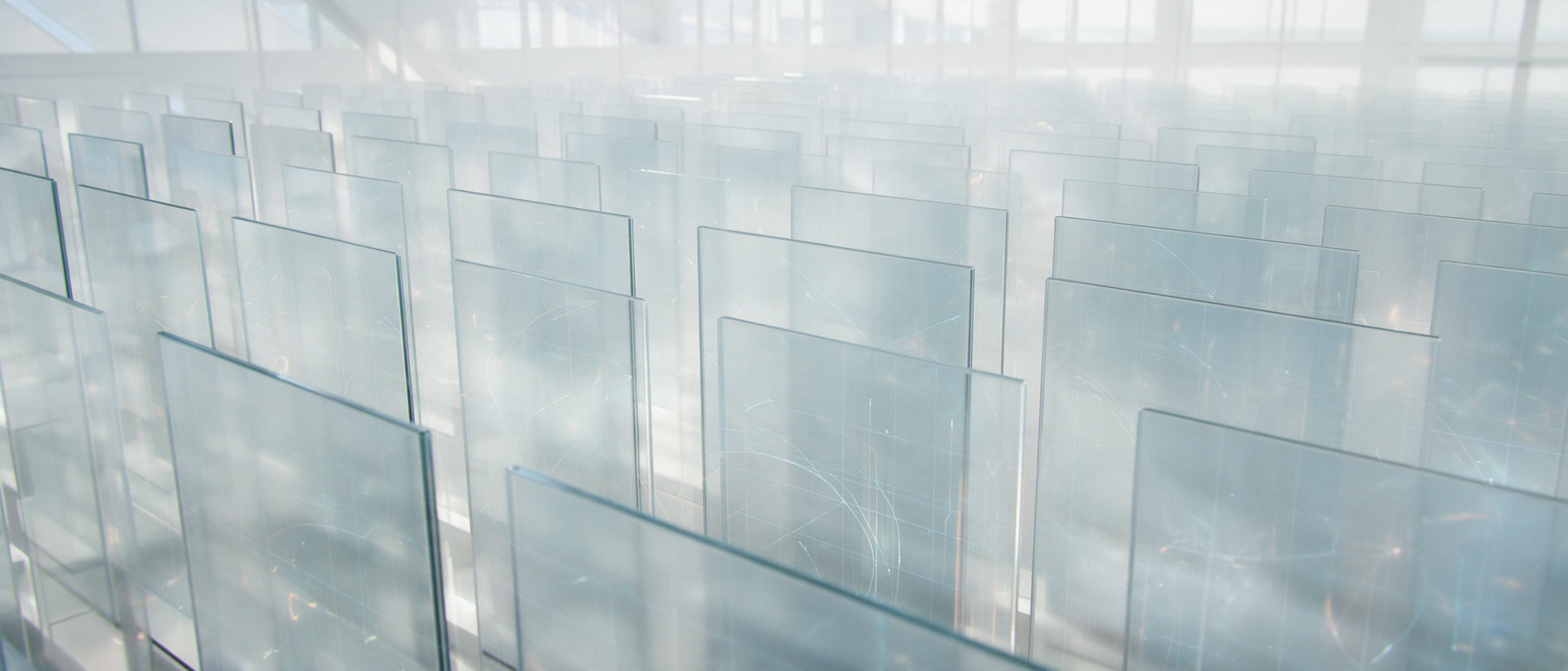 Rows of glass panels standing evenly spaced and all facing exactly the same way.